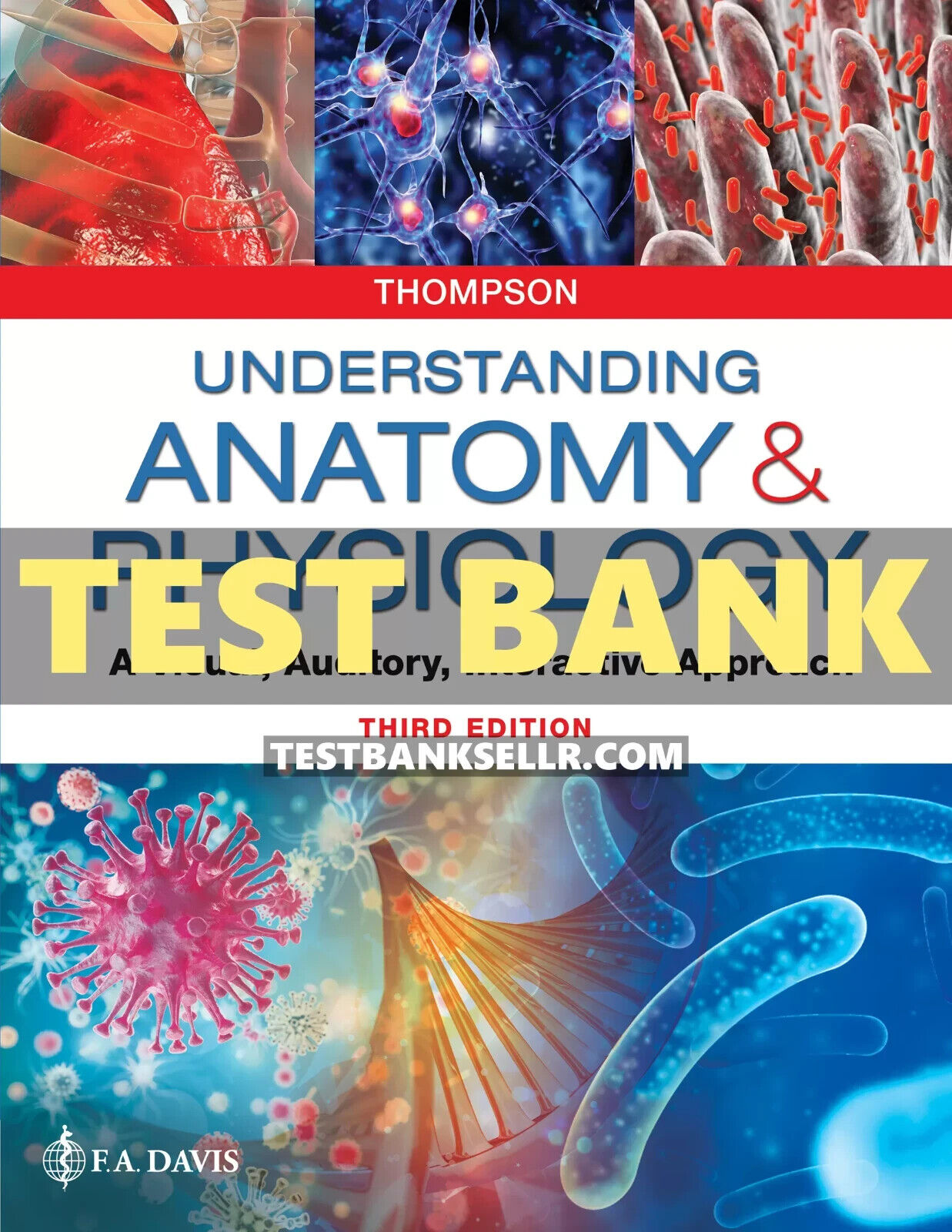 Test Bank for Understanding Anatomy and Physiology 3rd Edition Thompson